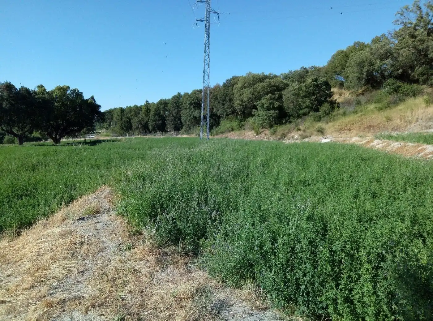 Terreni e lotti in vendita a Huéscar, imagen 68