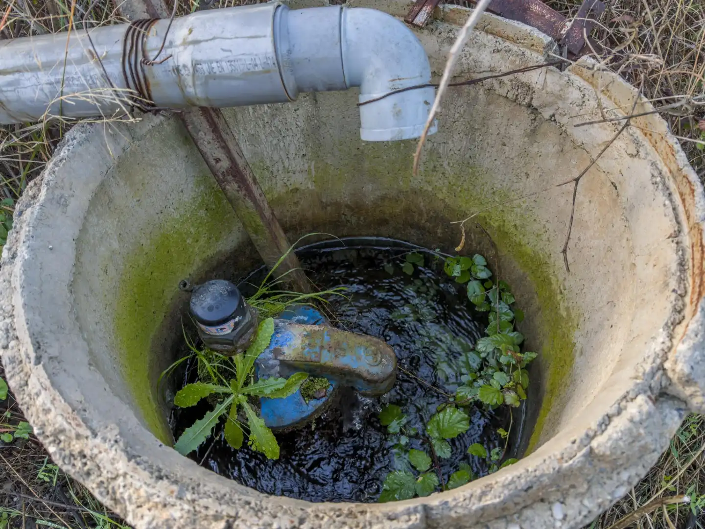 Jardí de Finca rústica en venda en Los Guájares amb Terrassa i Traster