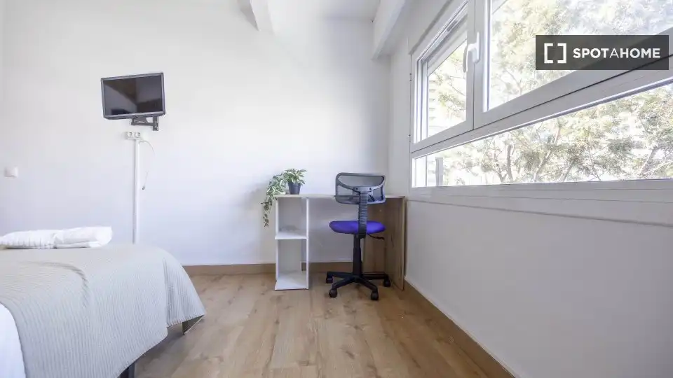 Room in Jaume Roig