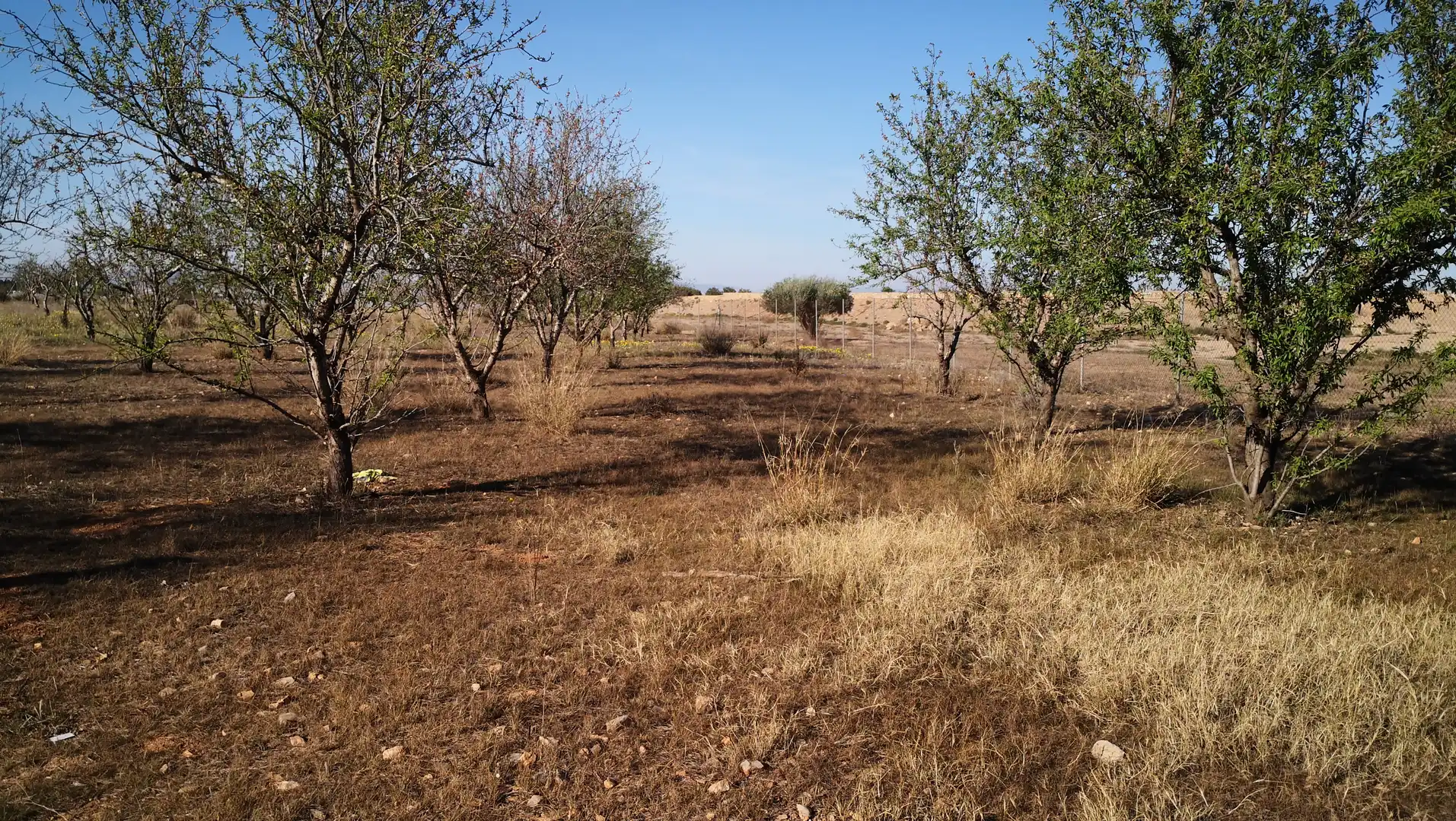 Terrenys i solars en venda a Pedanías Oeste