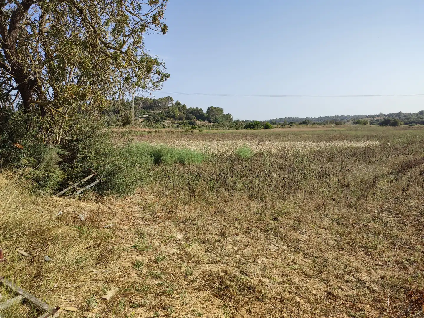 Terrain rustique à vendre à Sant Joan, imagen 11