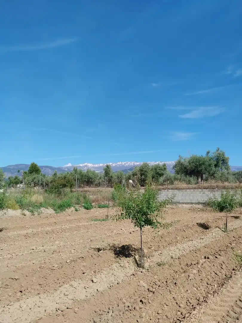 Terreni e lotti in vendita a Villa de Otura, imagen 5