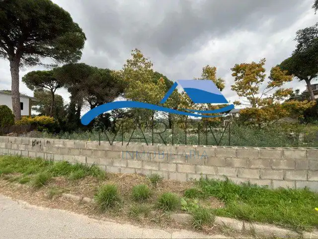 Terrenos y solares en venta en Sensitiva, imagen 9