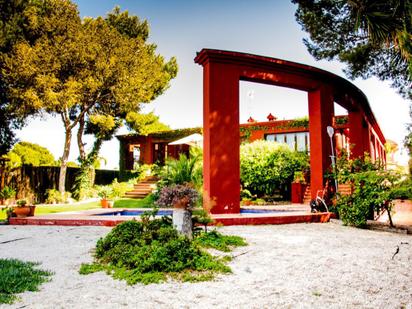 Jardí de Casa o xalet en venda en Molina de Segura amb Aire condicionat, Terrassa i Piscina