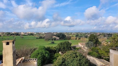 Photo 4 of Country homes for sale in Carrer de Sa Tanqueta, 20, Algaida, Illes Balears