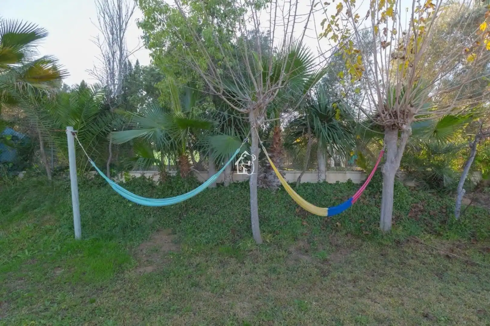 Jardín de Casa o chalet de alquiler en Torrevieja con Piscina y Amueblado