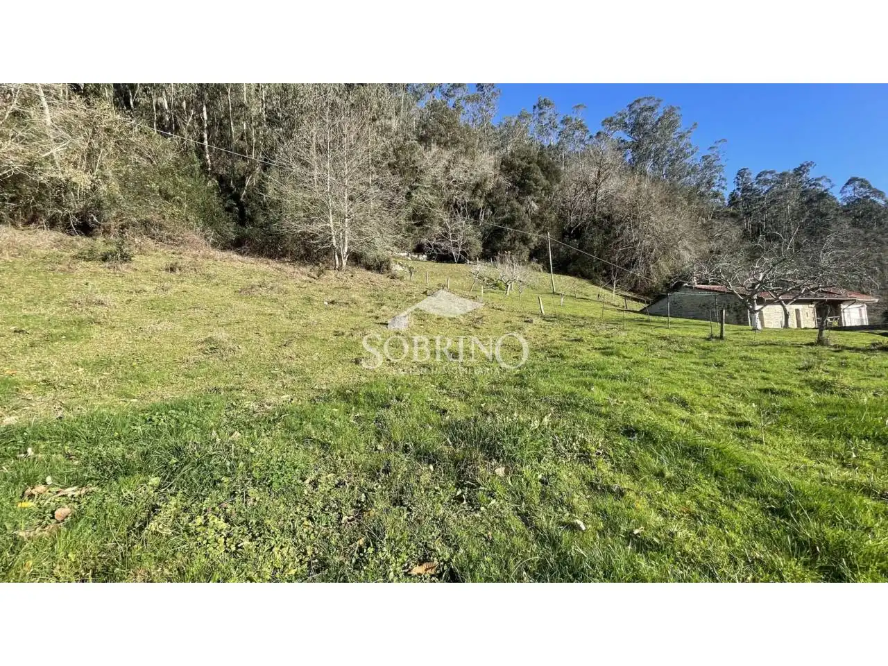 Terreny residencial en venda a Calle vilde 0, imagen 6