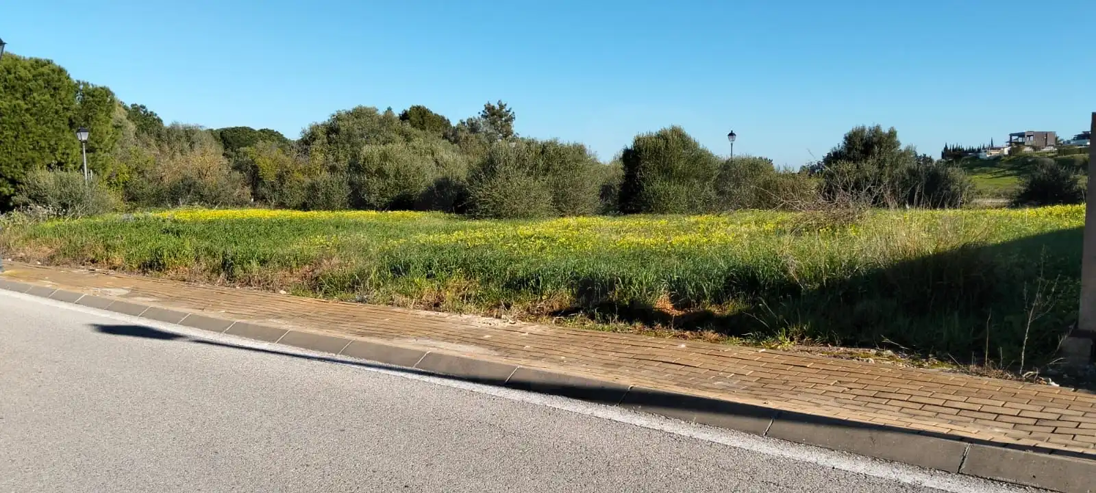 Terreni e lotti in vendita a Martín Miguel, imagen 5