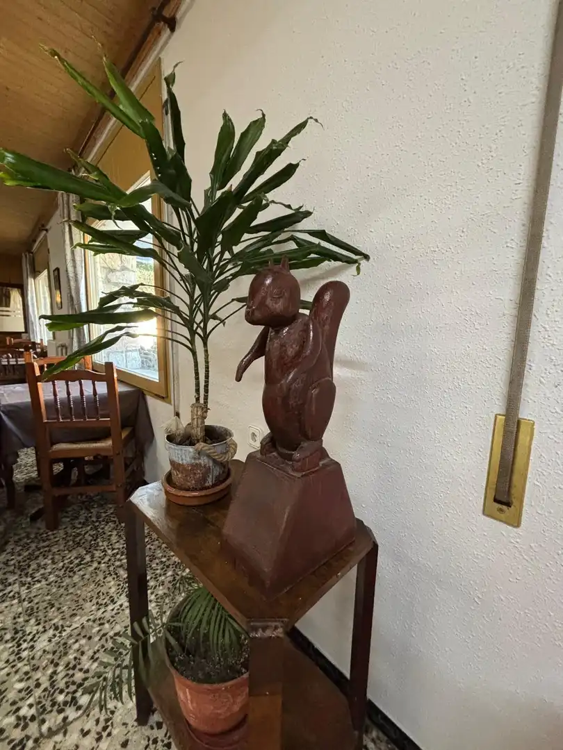 Gewerbefläche zum Verkauf in Jesús - Els Reguers, imagen 8