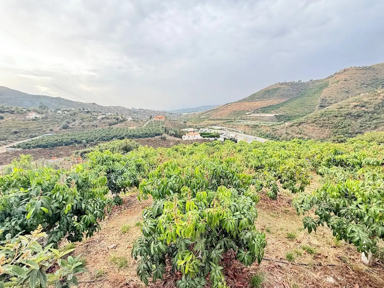 Haus mit Garten zum Verkauf in Viñuela, imagen 6