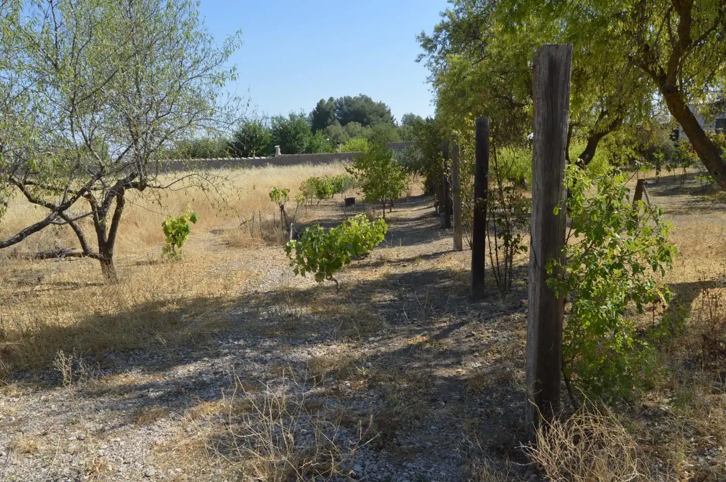 Finca rústica en venda en Tarancón amb Jardí privat