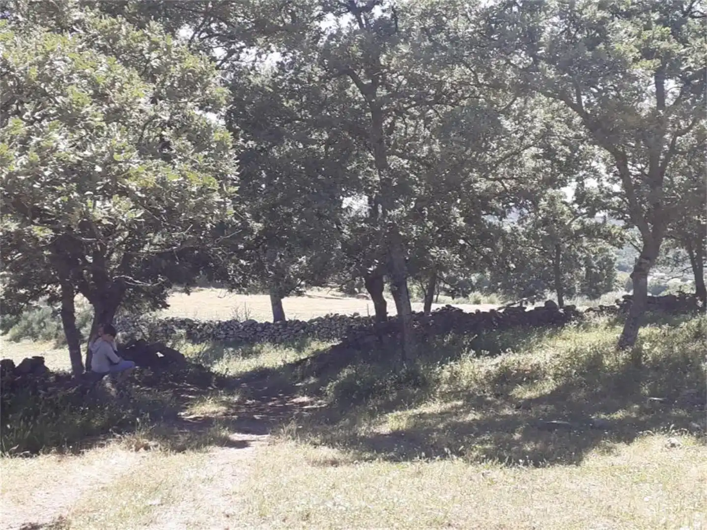 Terreno en venta en Valencia de Alcántara