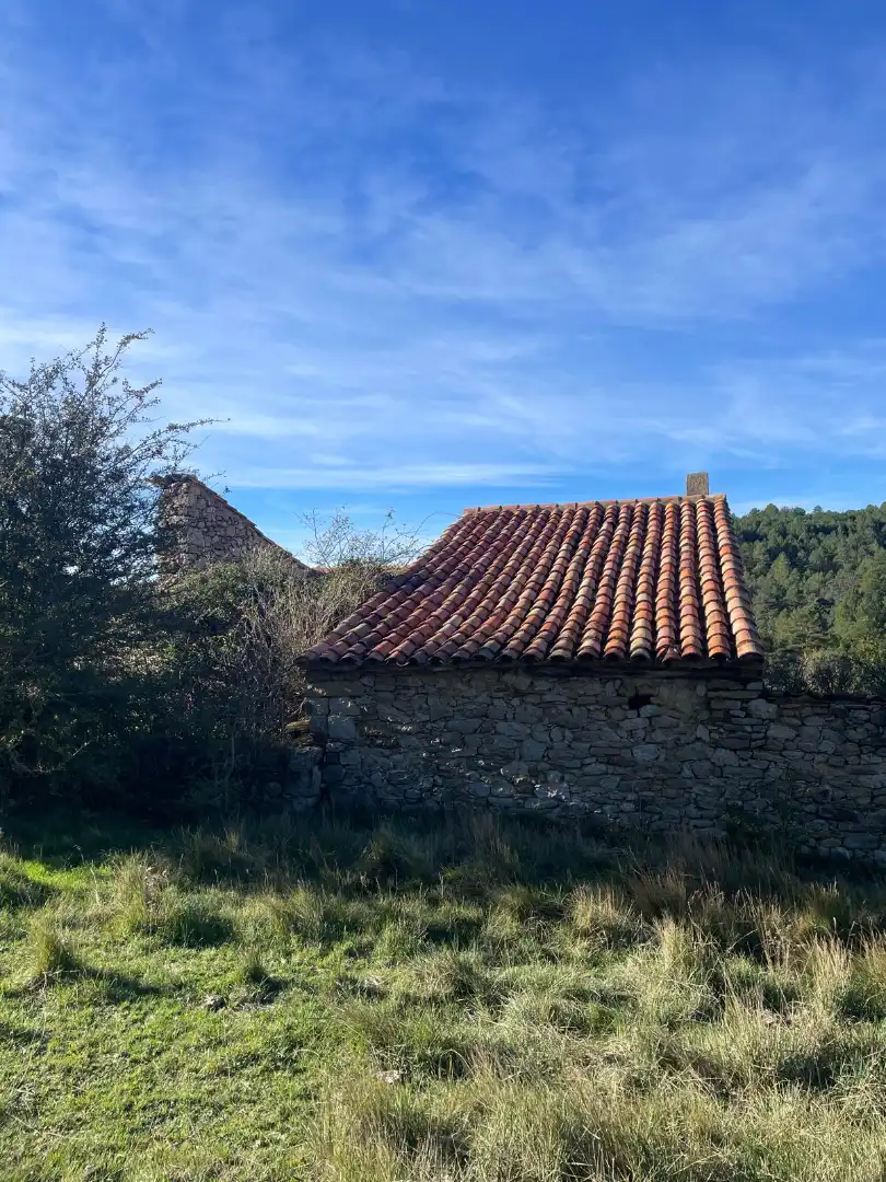 Terreny rústic en venda a La Pobla de Benifassà, imagen 5