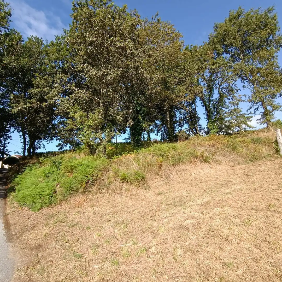 Residential zum Verkauf in Barro