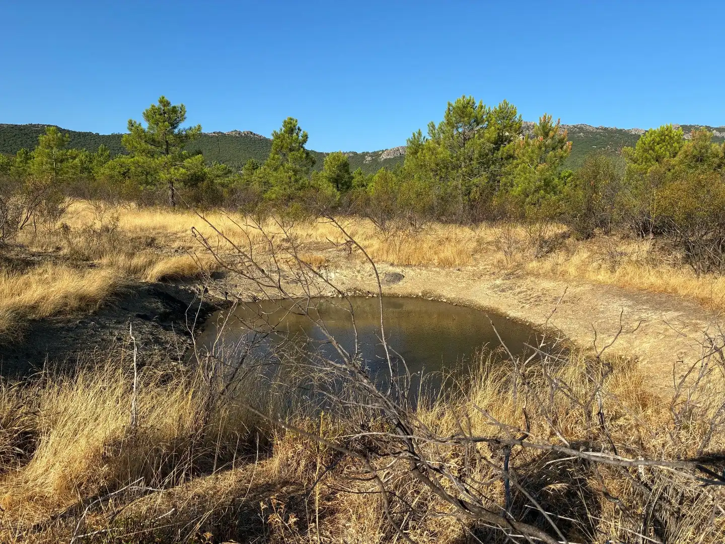 Rural land for sale in Puerto de San Vicente