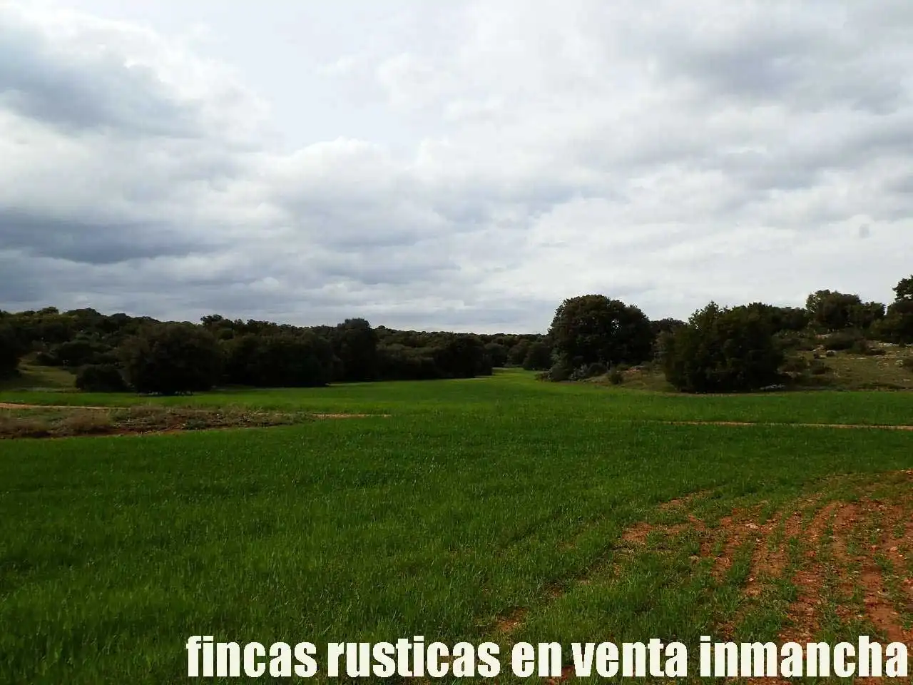 Terreno rustico in vendita a Ruidera, imagen 6