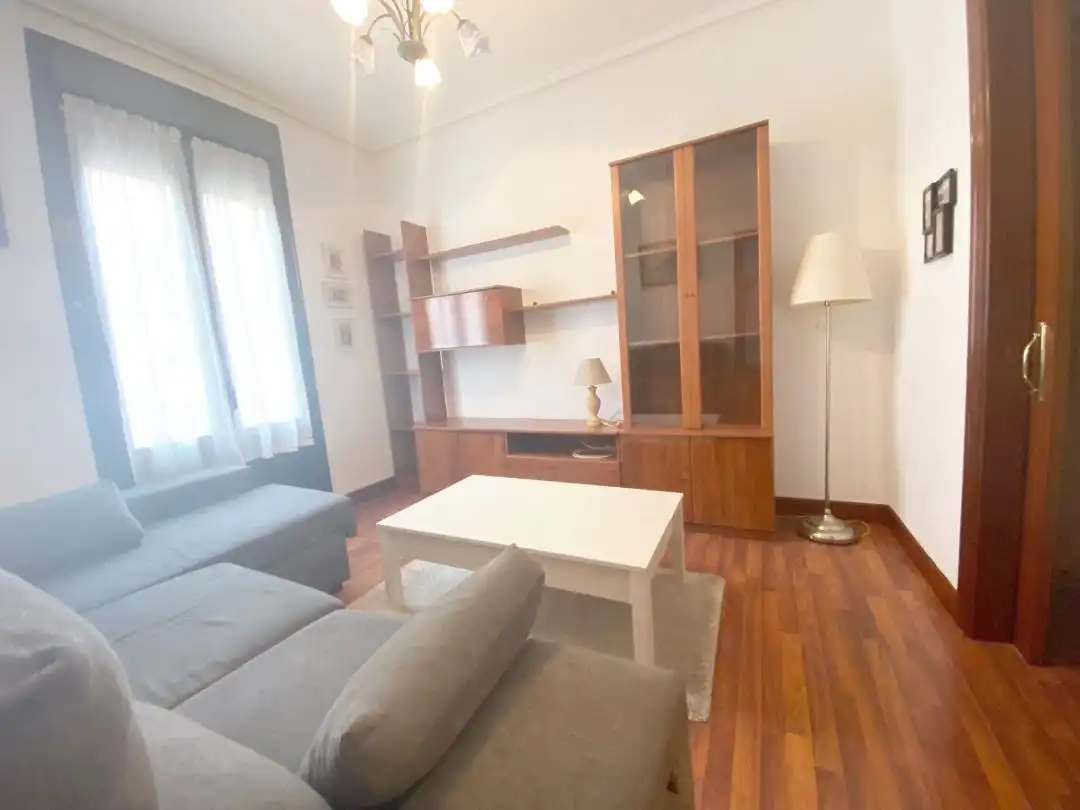 Sala d'estar de Pis de lloguer en Bilbao  amb Calefacció i Balcó