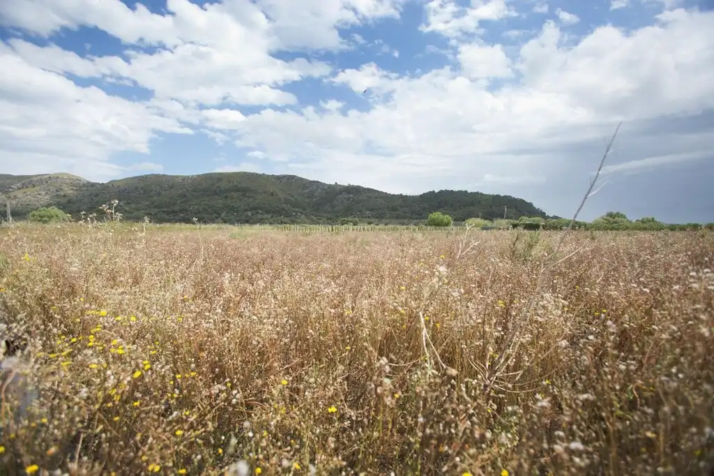 Terreno rustico in vendita a Ciutat d'Alcúdia, imagen 9