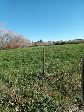 Terreno en Venta en Carretera Lebrija-Trebujena Cc-4 en Lebrija