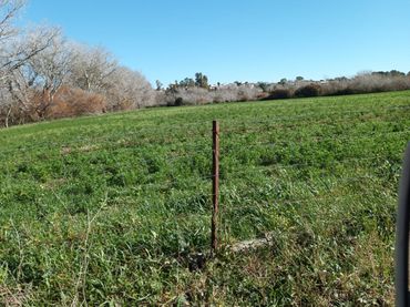 Terreno rustico in vendita a Carretera Lebrija-Trebujena Cc-4