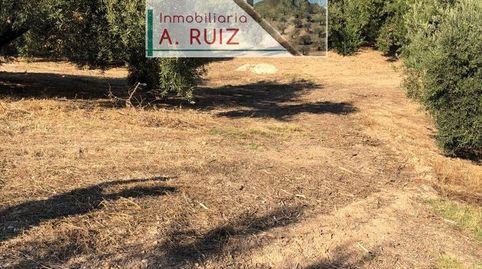 Imagen 5 del anuncio