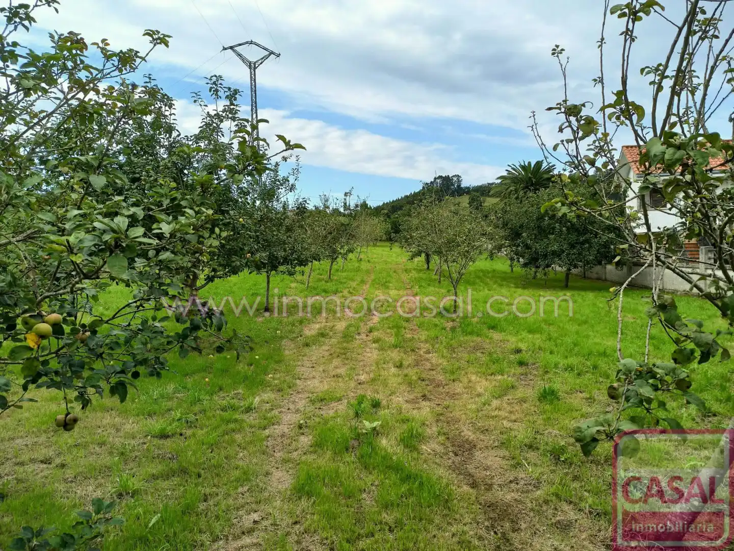 Terreny residencial en venda a Colunga, imagen 3