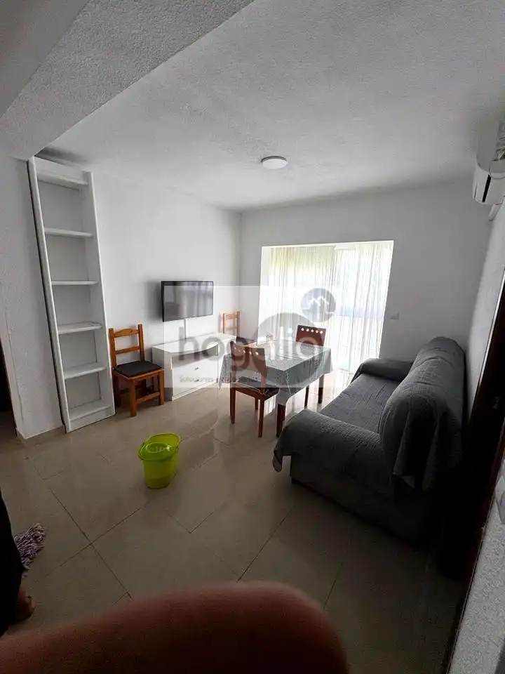 Sala de estar de Piso de alquiler en Sur