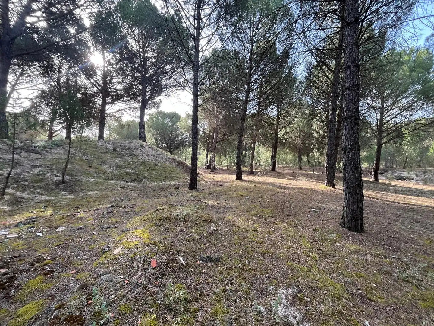 Terreno en venta en Tudela de Duero