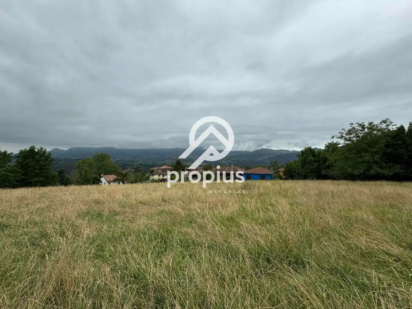 Rural land for sale in Arenas, imagen 23
