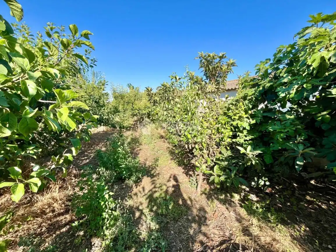 Land for sale in Zaragoza