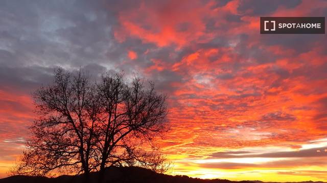 Piso en Alquiler en Vallvidrera - Tibidabo - Les Planes