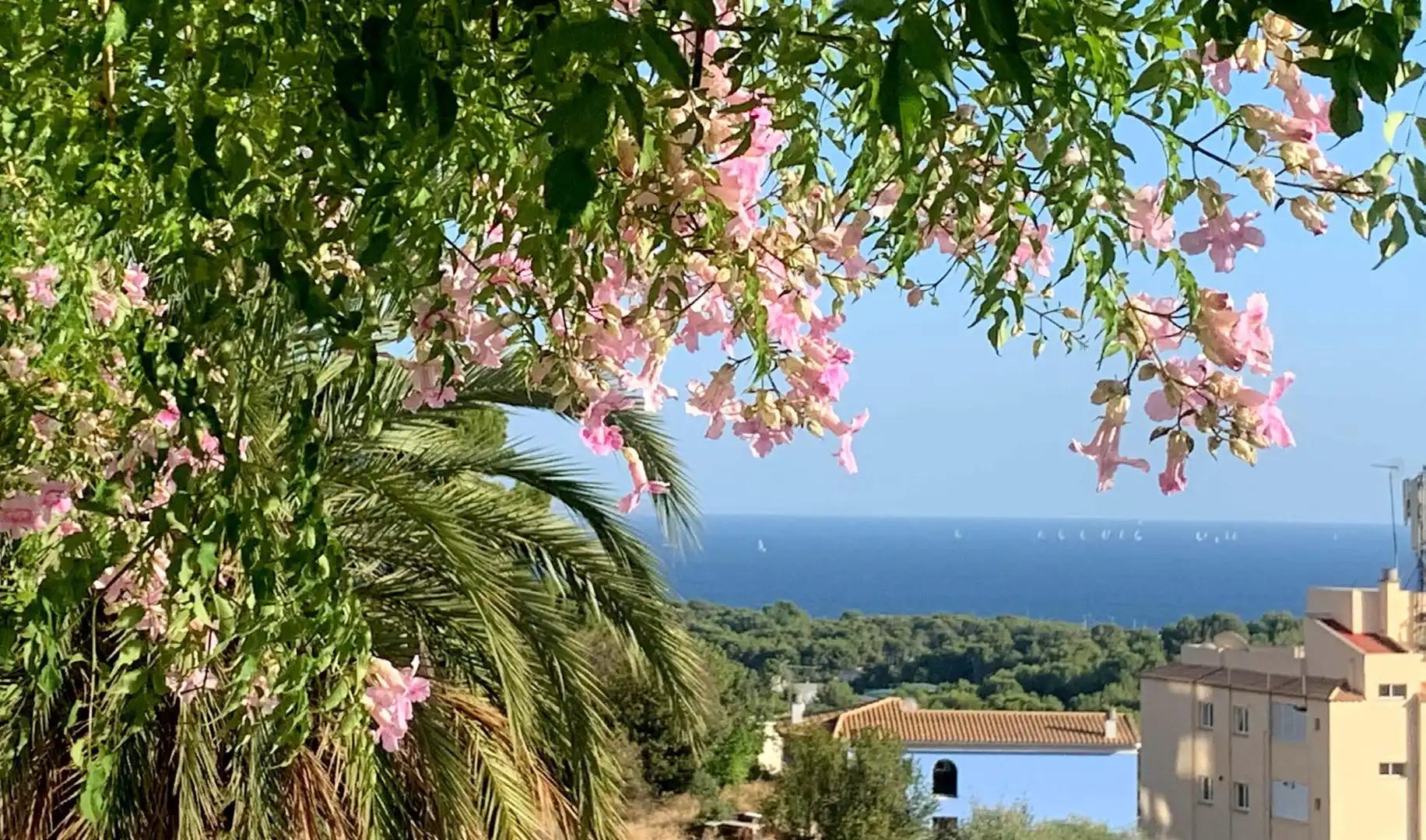Villa mit Terrasse zum Verkauf in Ponent, imagen 28