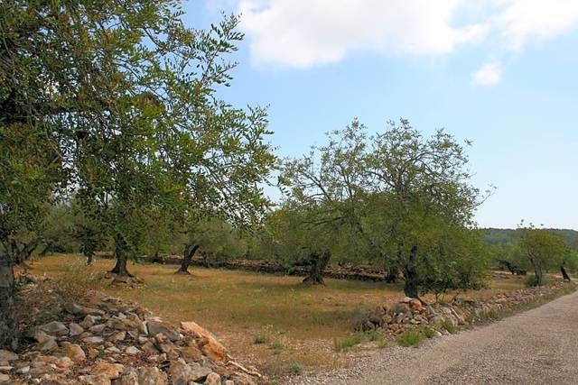 Terreno en Venta en PARRACOLL, 2 en El Perelló