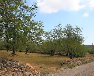 Residencial en venda a Parracoll, 2, El Perelló