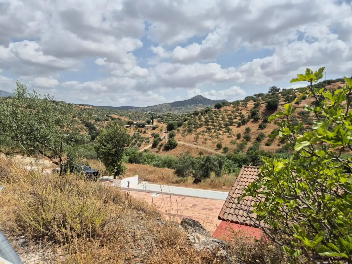 Vista exterior de Finca rústica en venta en Guaro con Calefacción, Terraza y Trastero
