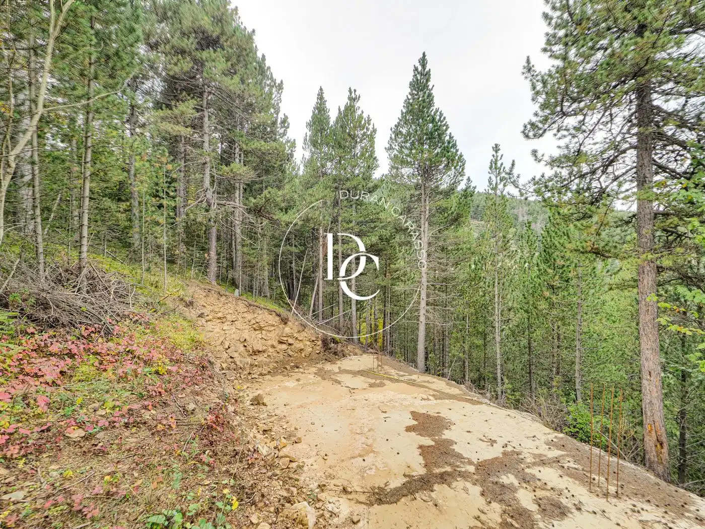 Residential for sale in Alp