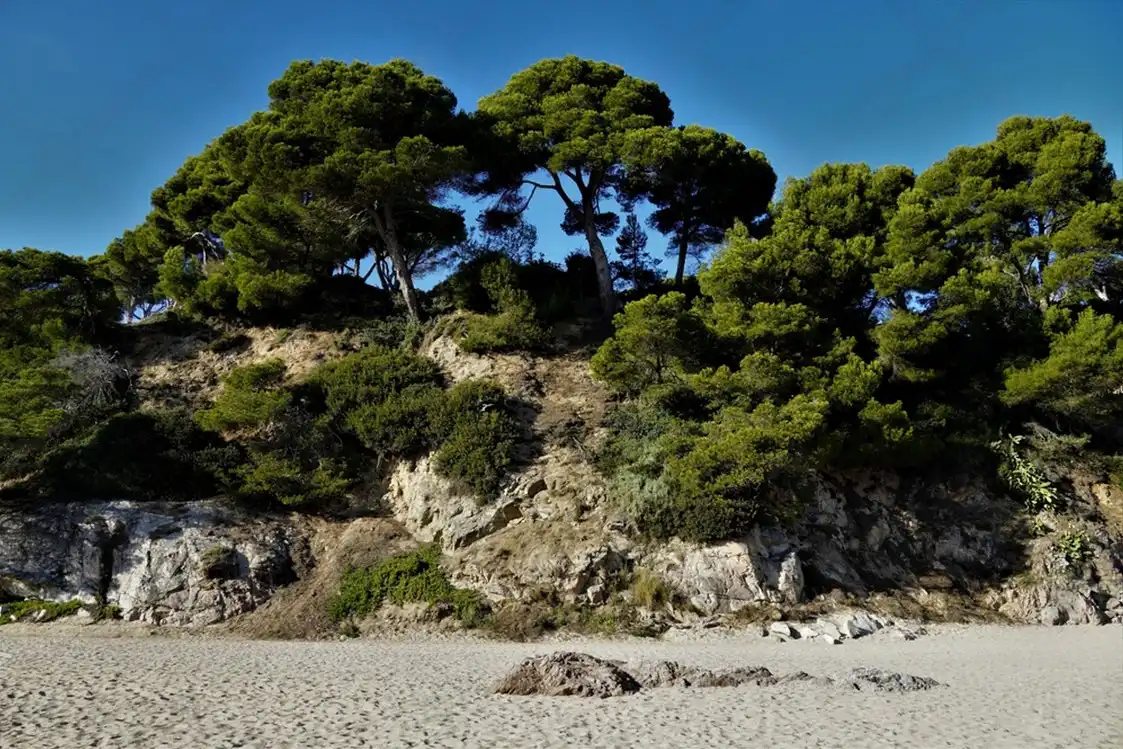 Exterior view of Attic for sale in Castell d'Aro, Platja d'Aro i s'Agaró  with Terrace