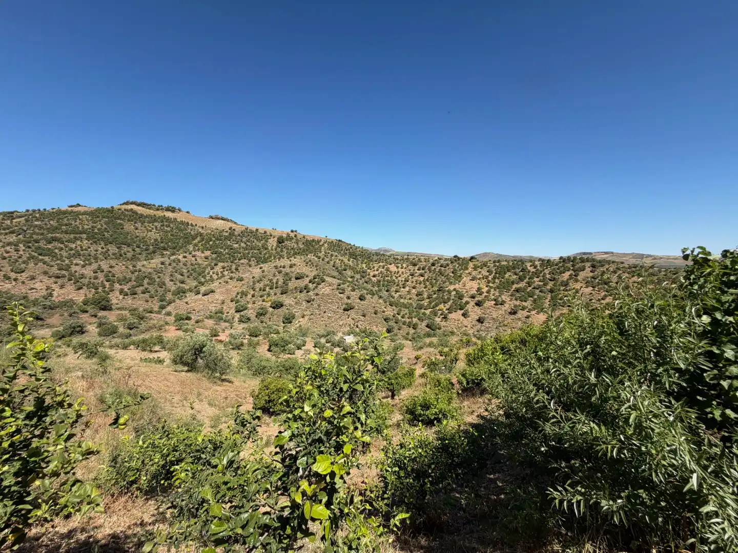 Finca rústica en venta en Ardales con Jardín privado, Terraza y Piscina