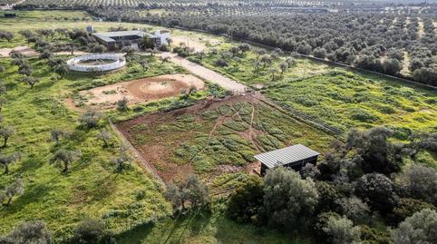 Photo 4 of Country house for sale in Gerena, Sevilla