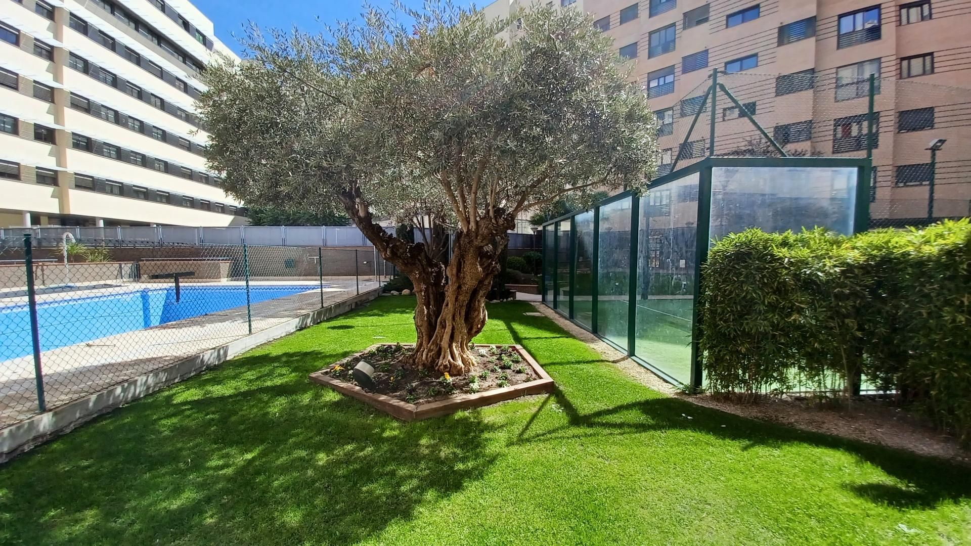 Swimming pool of Flat to rent in  Madrid Capital  with Air Conditioner, Heating and Private garden