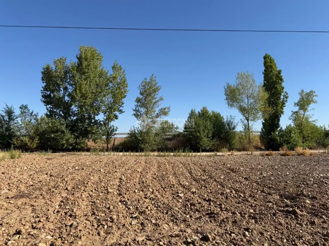 Terreny rústic en venda a Fuente El Saz de Jarama, imagen 11
