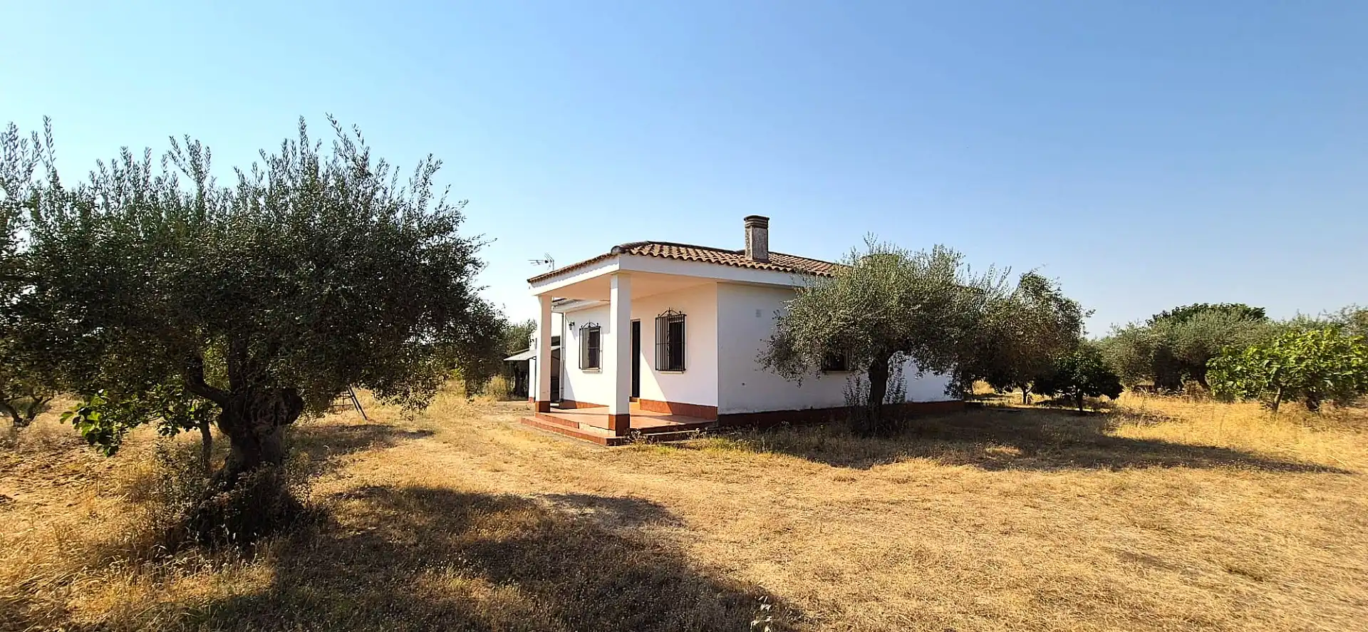 Chalet con piscina en venta en Lugar Finca Corchuela, imagen 5