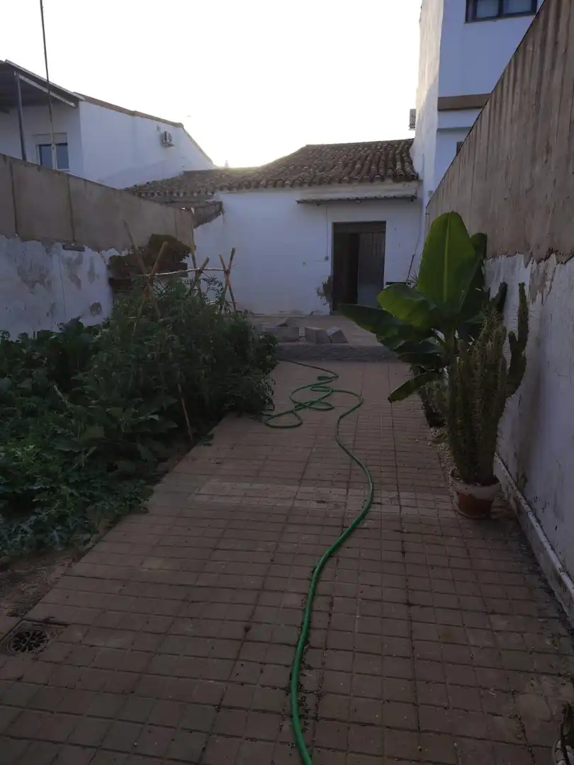 Garden of Detached homes for sale in Chucena