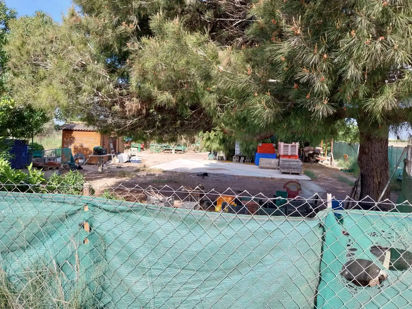 Terreno rustico in vendita a Partida la Capitana, imagen 4