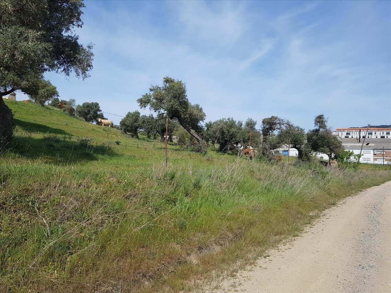 Residencial en venda en Plasencia