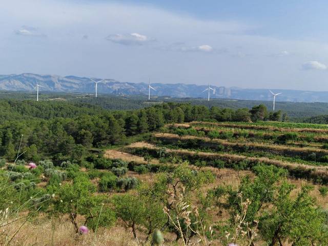 Terreno en Venta en Caseres