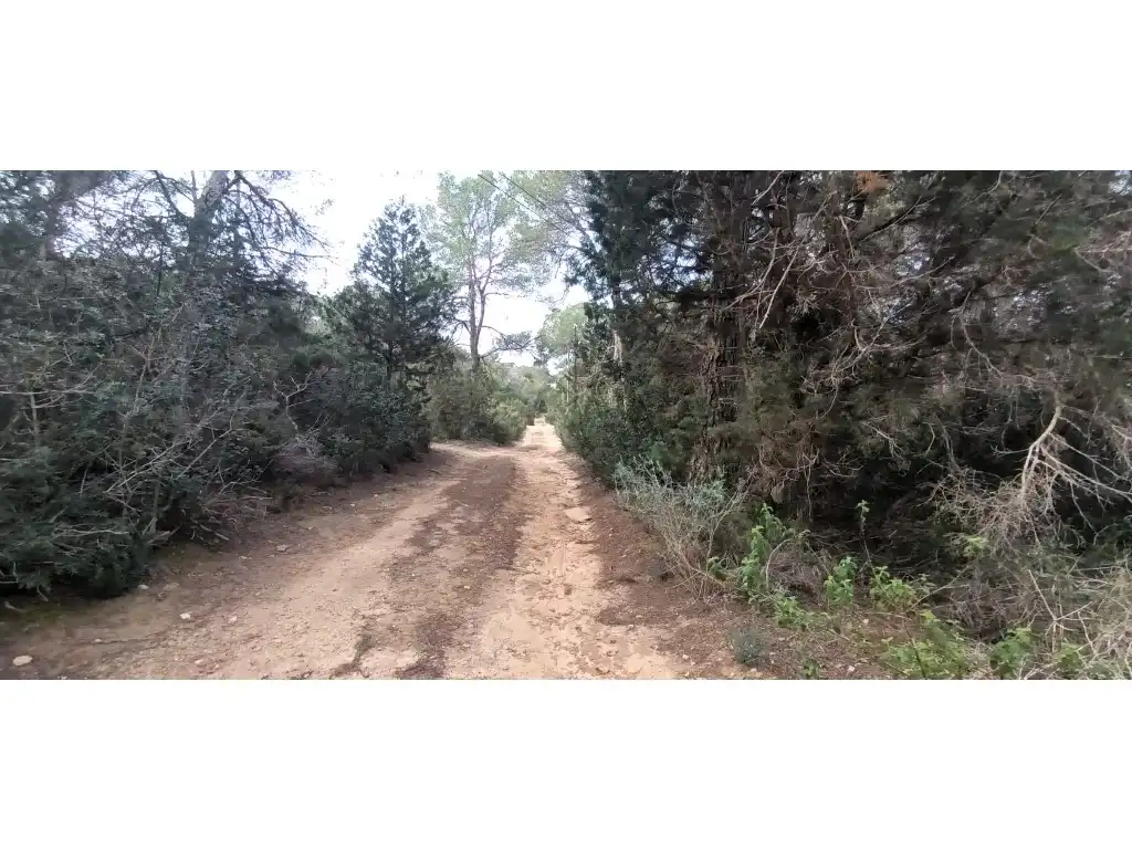 Terreno residenziale in vendita a Formentera, imagen 14