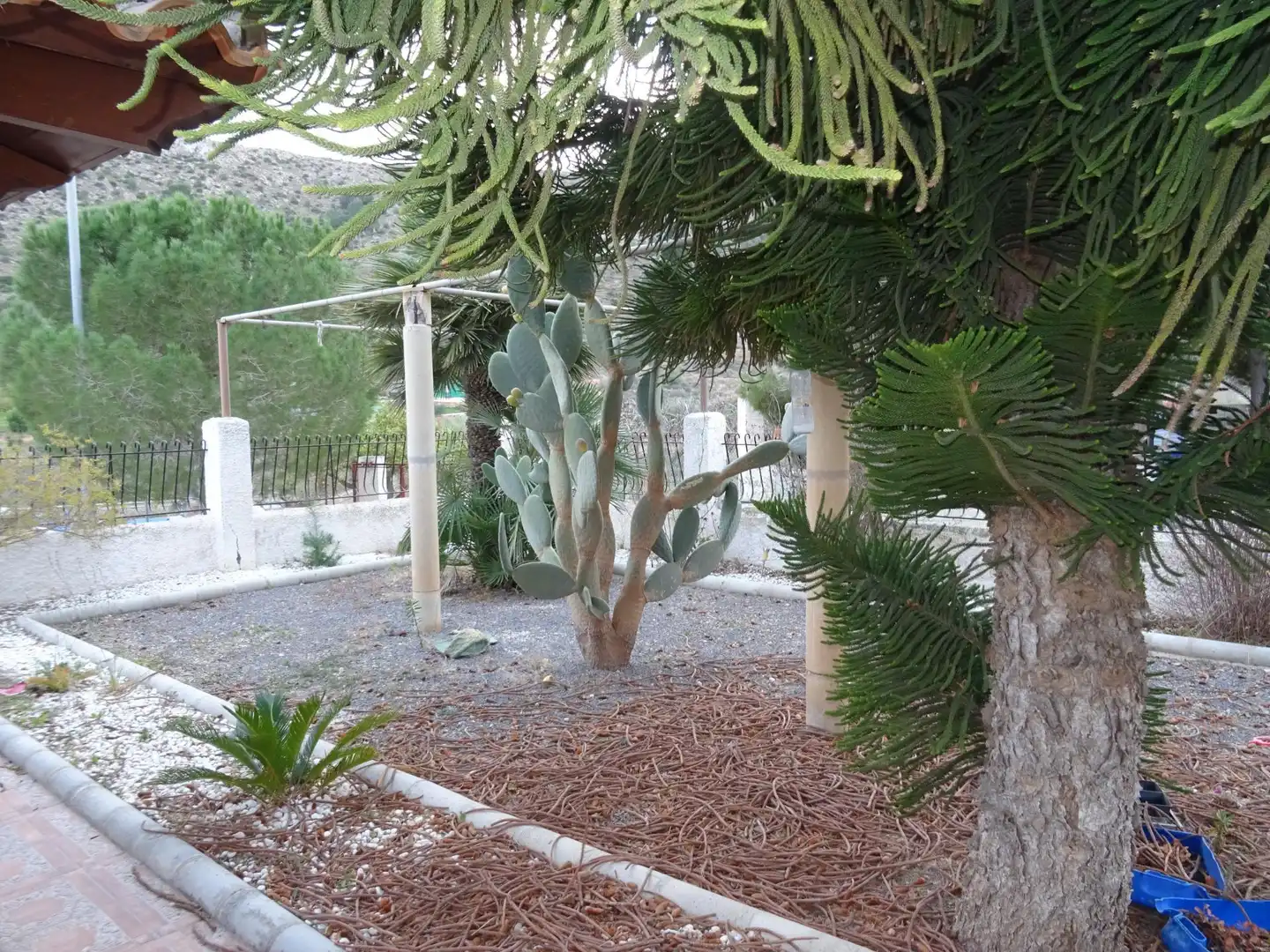 Casa rústica amb piscina en venda a Pedanías Oeste, imagen 38