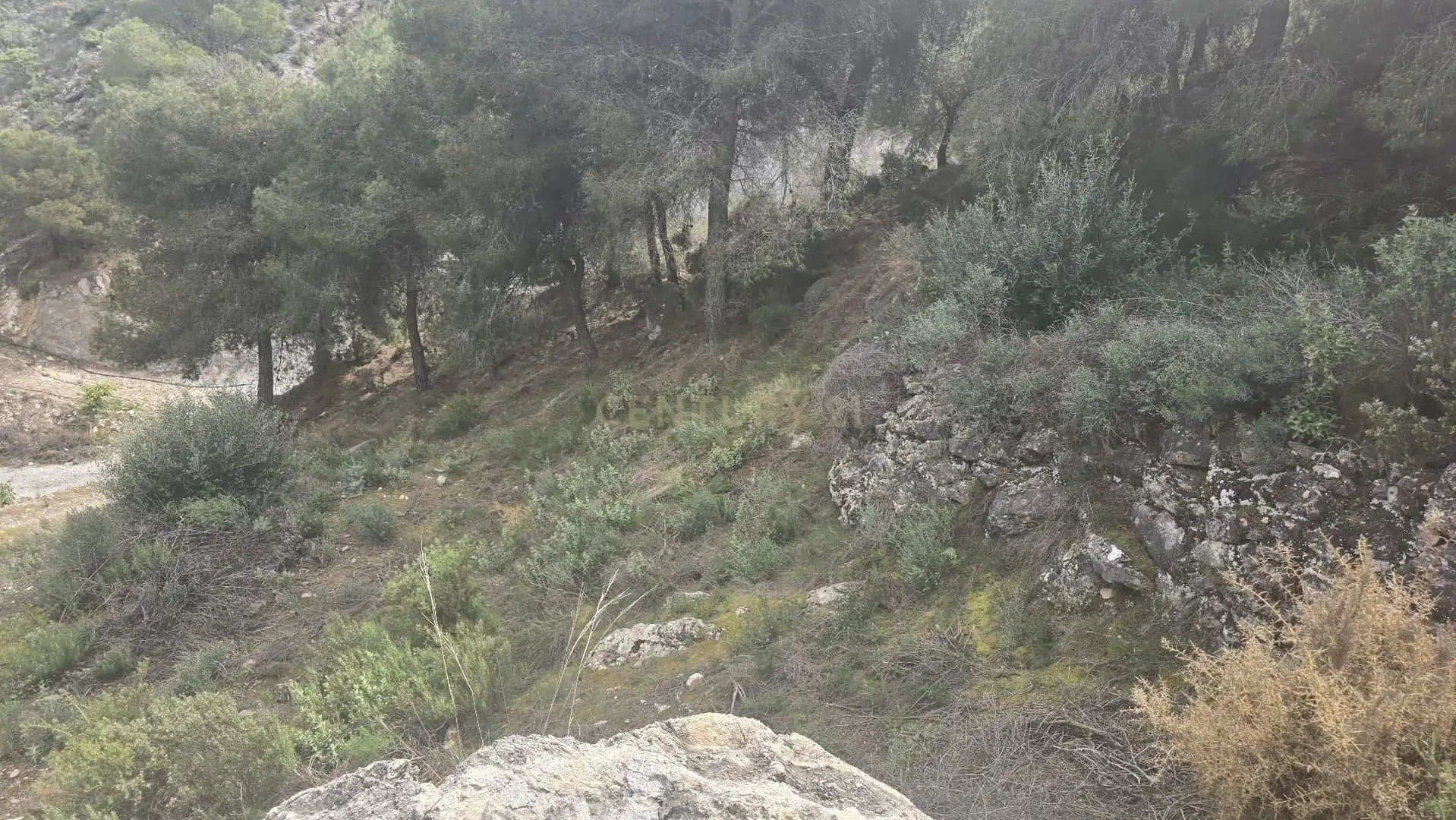Terreno rustico in vendita a Polígono 11 Parcela 307 EL CERRILLAR. LOS GUAJARES (GRANADA), imagen 13