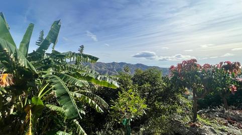 Foto 2 de Finca rústica en venda a Almuñecar Centro, Granada